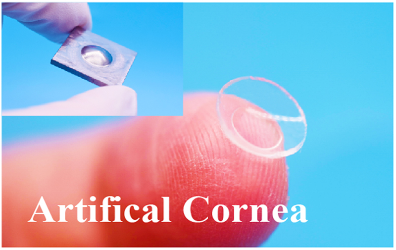 聚焦高端生物組織功能膜科研轉化，博創(chuàng  )生物喜獲天使+輪融資